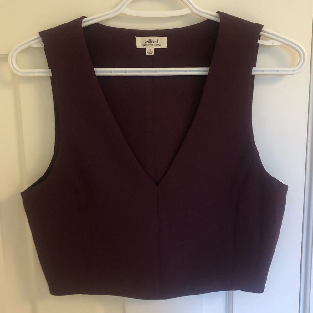 Aritzia Wilfred Dauphine Cropped Blouse